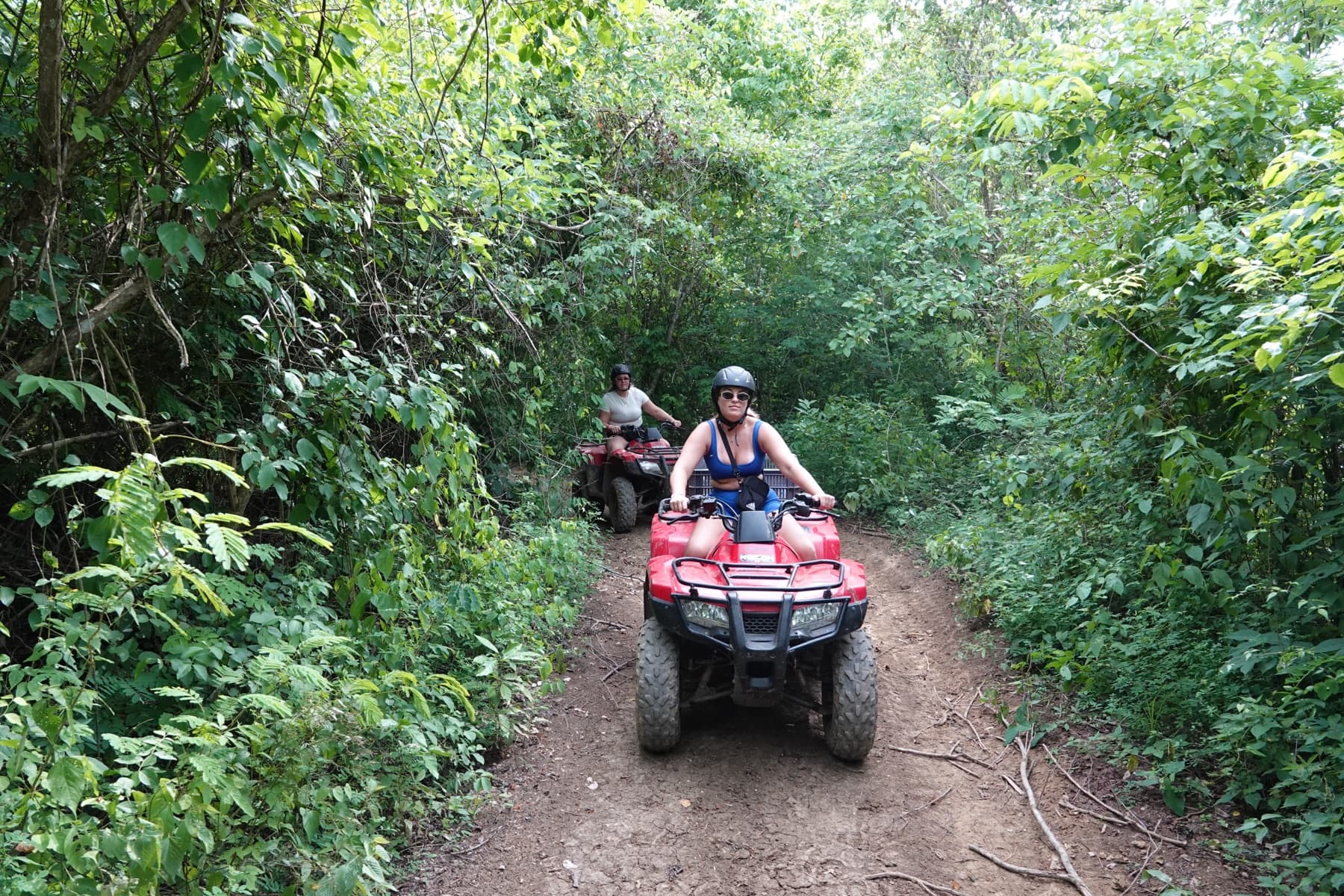 Visiteurs en quad traversant un tunnel vert de forêt sèche