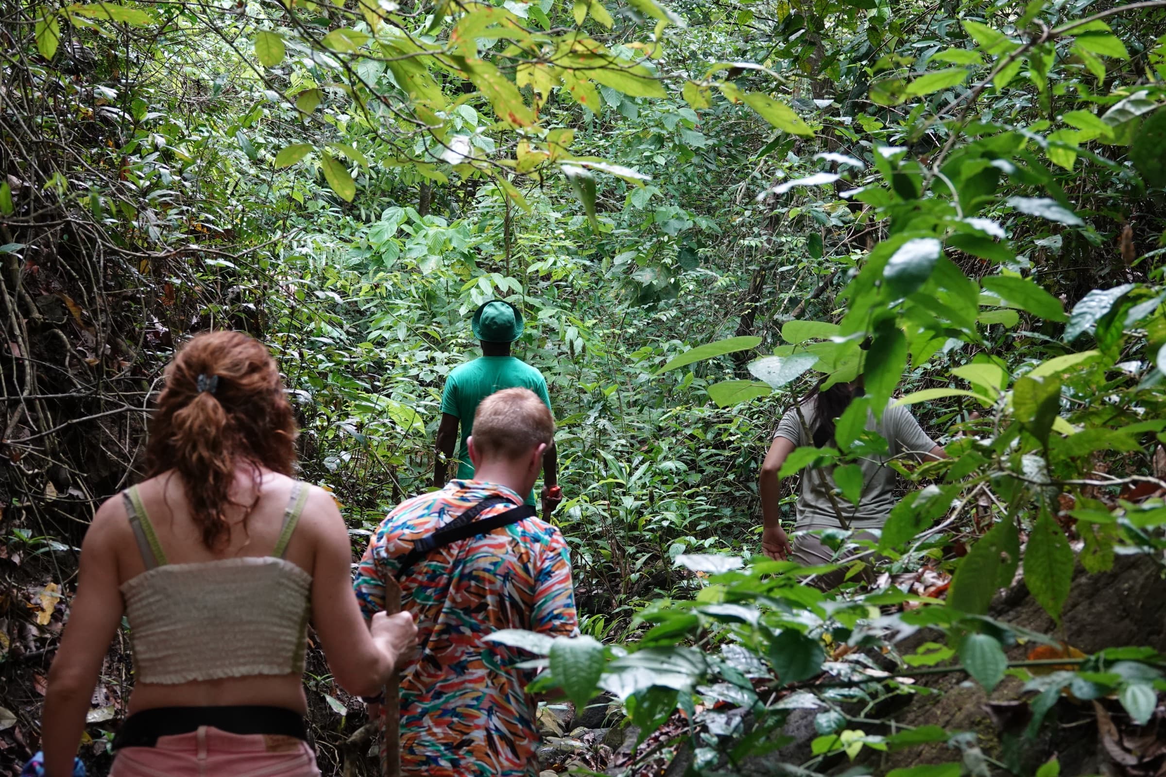 Group of visitors walking the Cerro El Peligro trail, guided by sanctuary staff, deep in the tropical dry forest