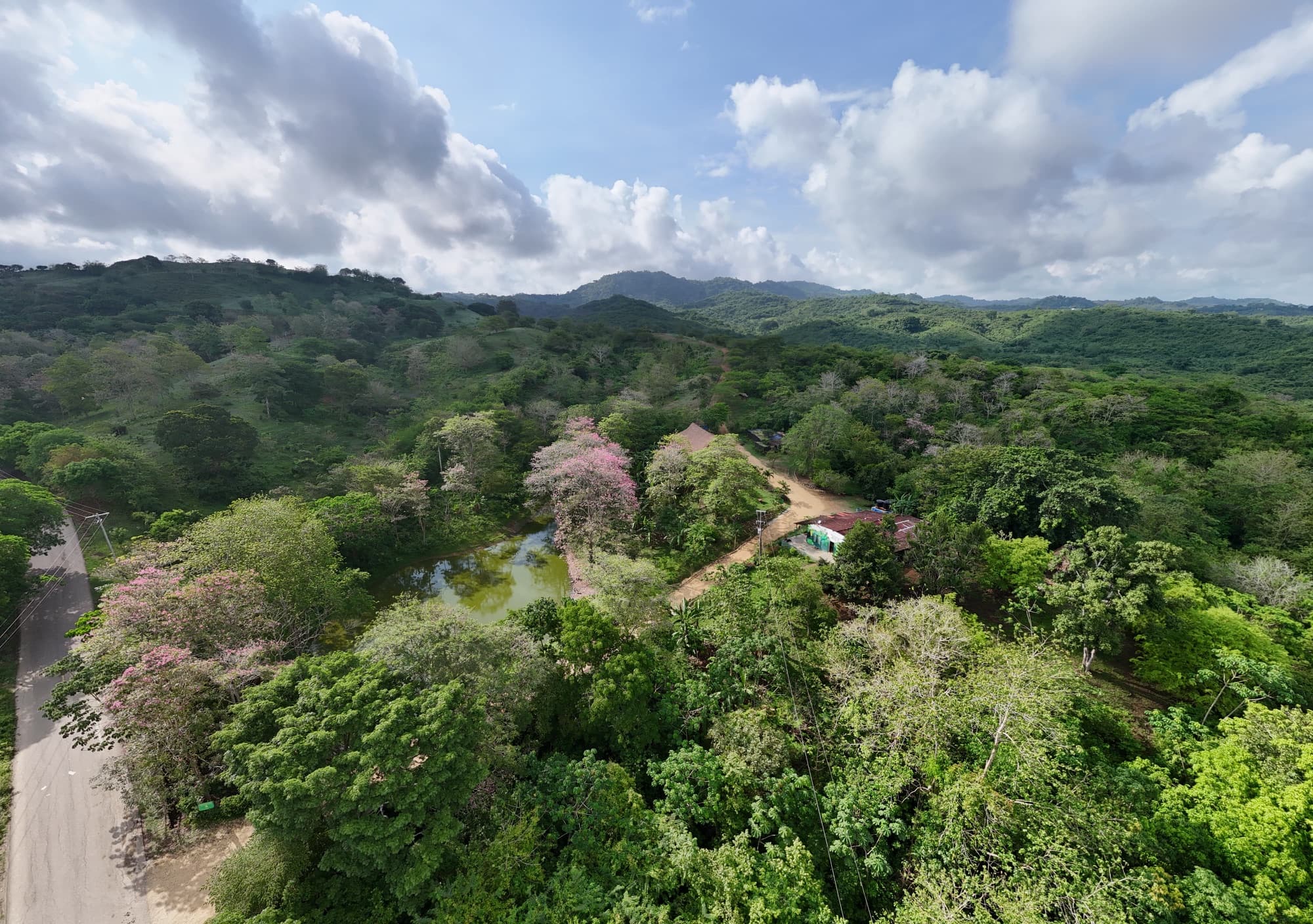 Vista panorámica de la reserva de Fundación Loros