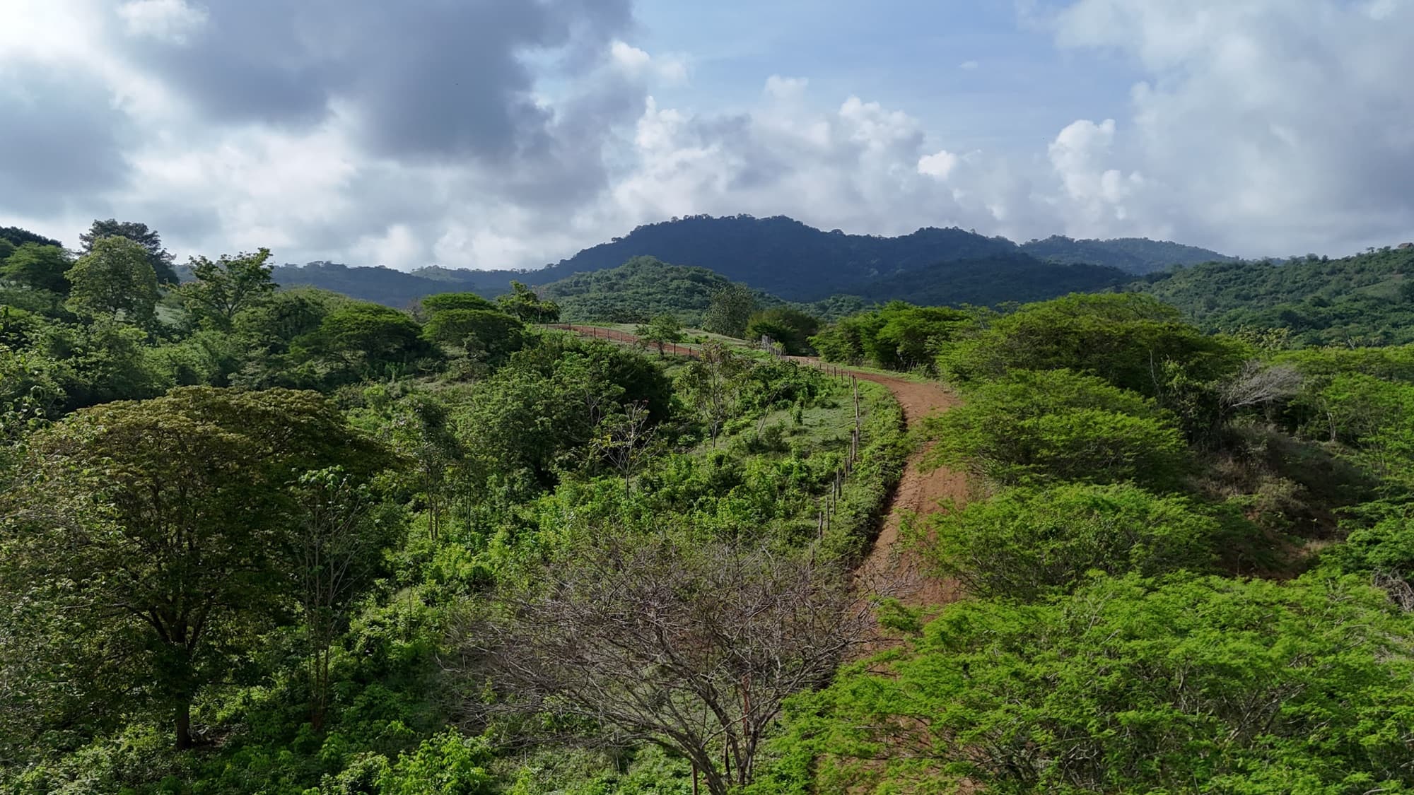 Vista panorámica de la reserva de Fundación Loros