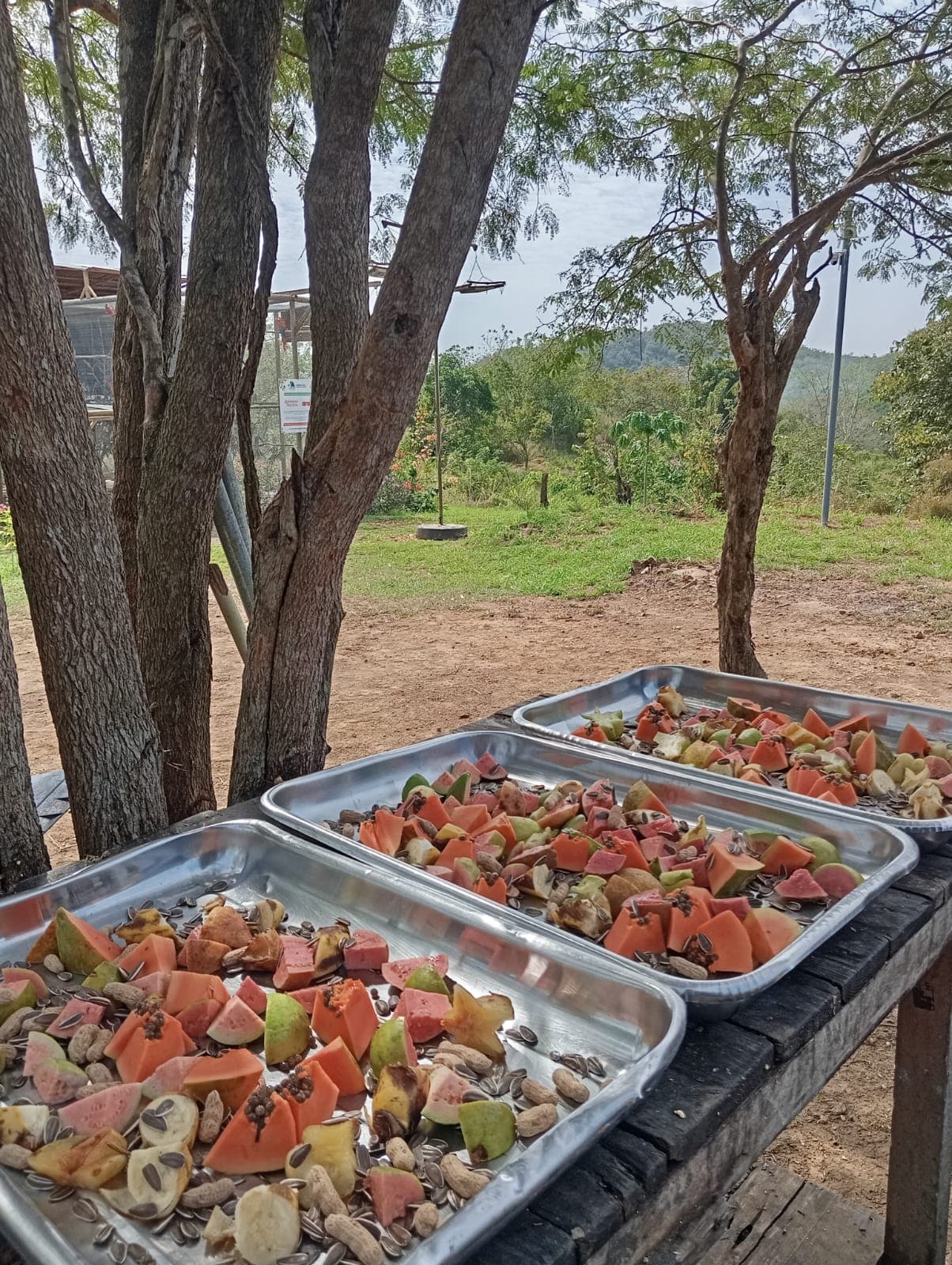 Omar, the Chef Who Feeds Freedom