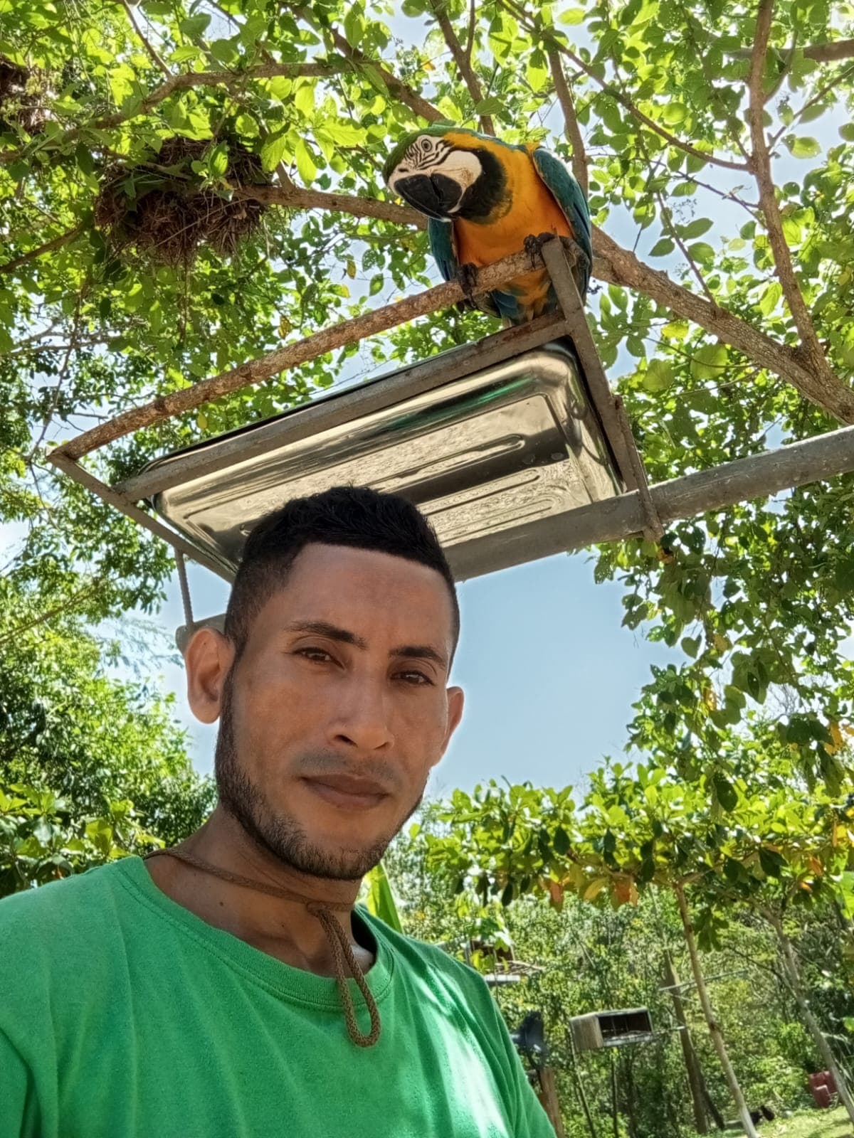 El parque se llenó de vida propia