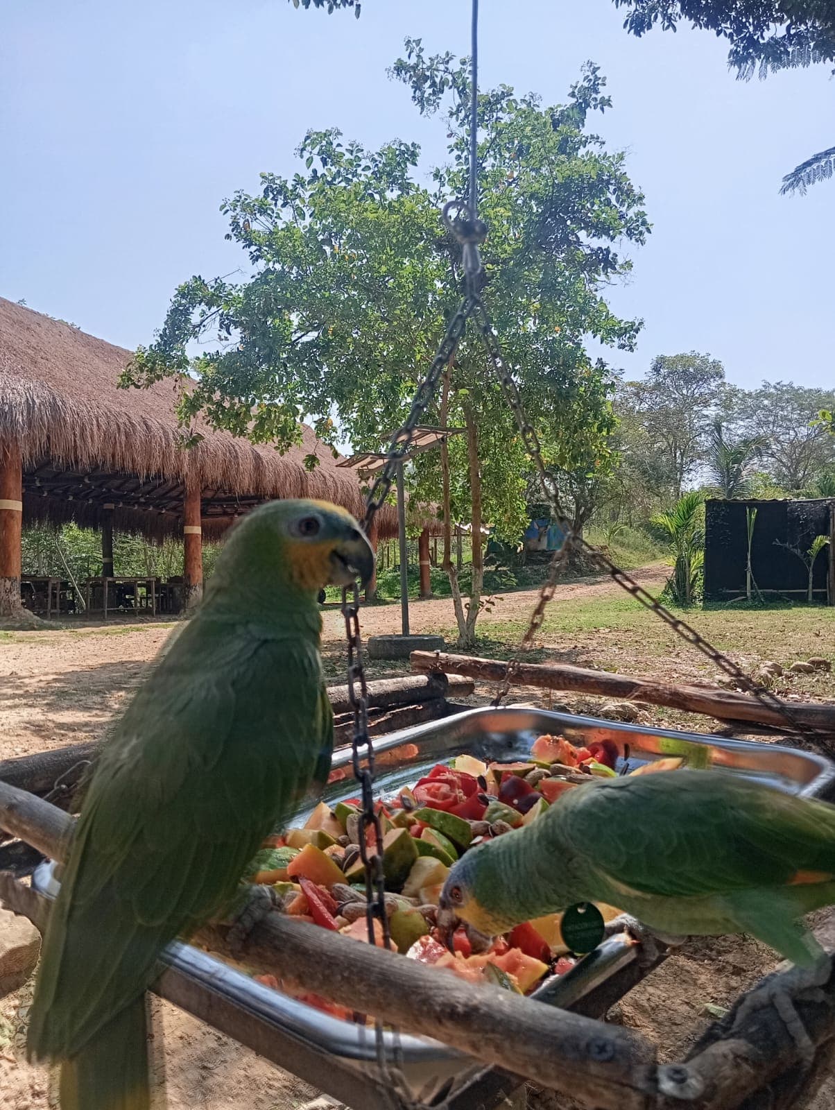 El parque se llenó de vida propia · 6