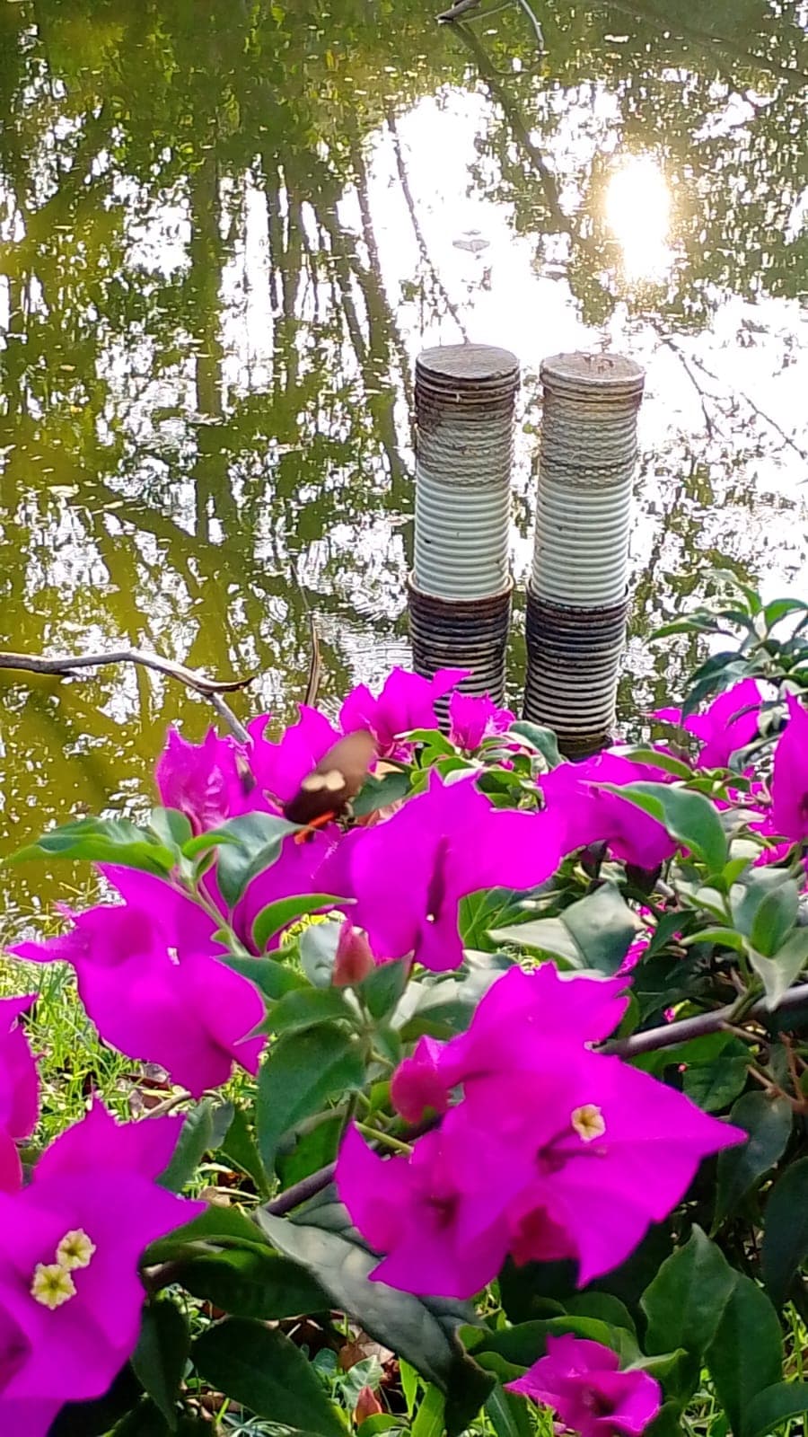 Der Eingang von El Paraíso in voller Blüte · 2