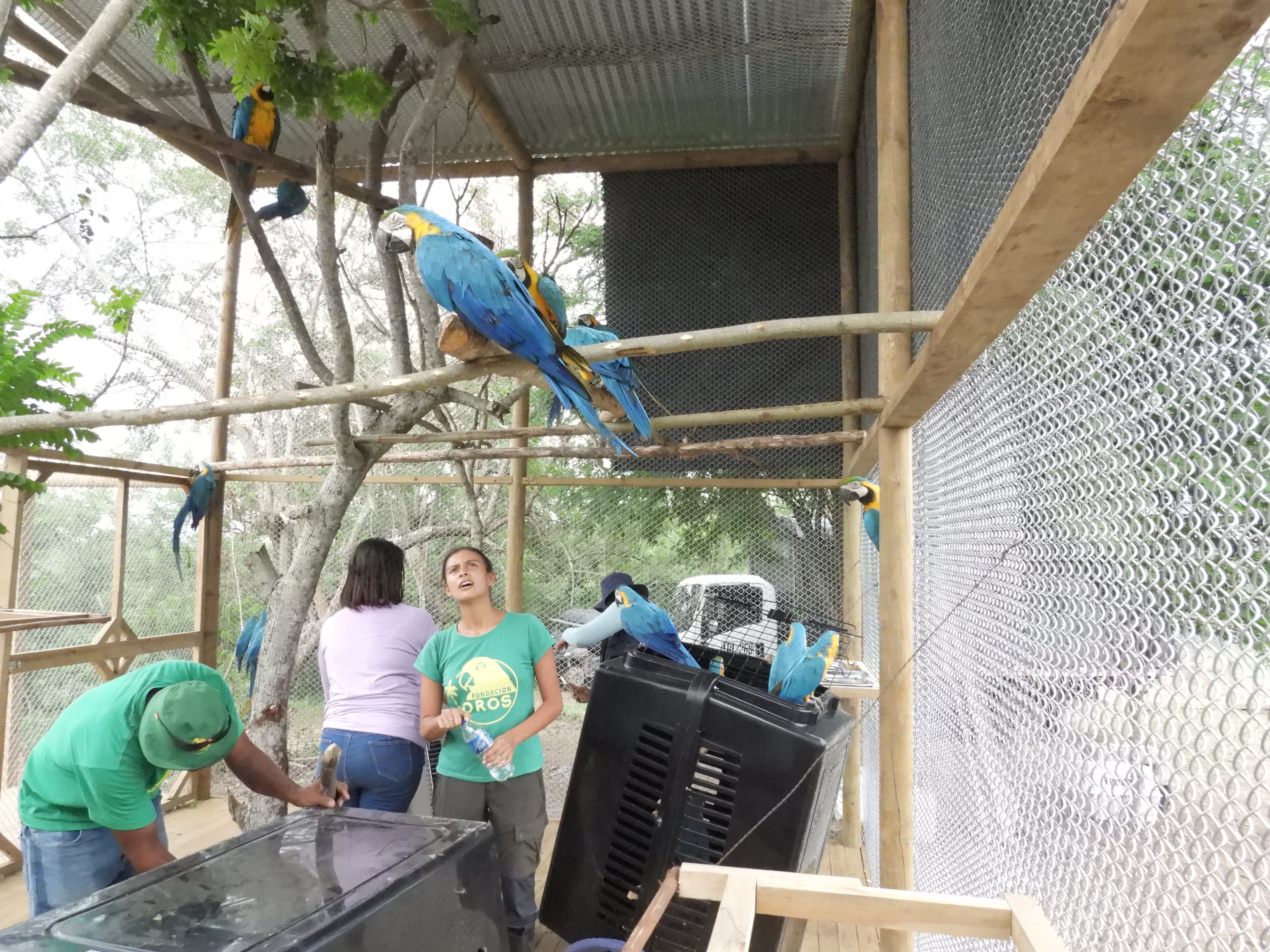 Sessantanove vite sono arrivate alla Fundación Loros · 2