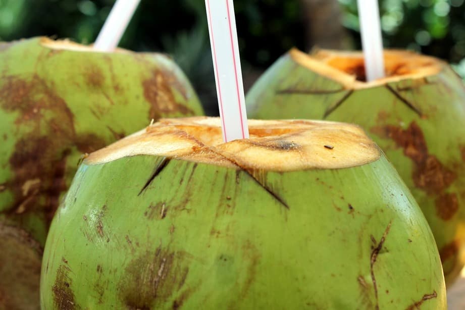 Jamaica fría y coco bajado del árbol · 3