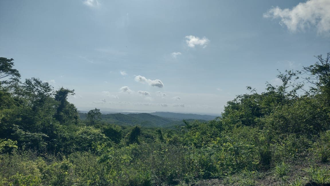 Equipo de Fundación Loros recorriendo el cerro El Peligro