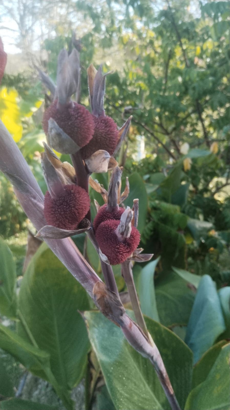 La Casa Plantada Awakens in March · 11