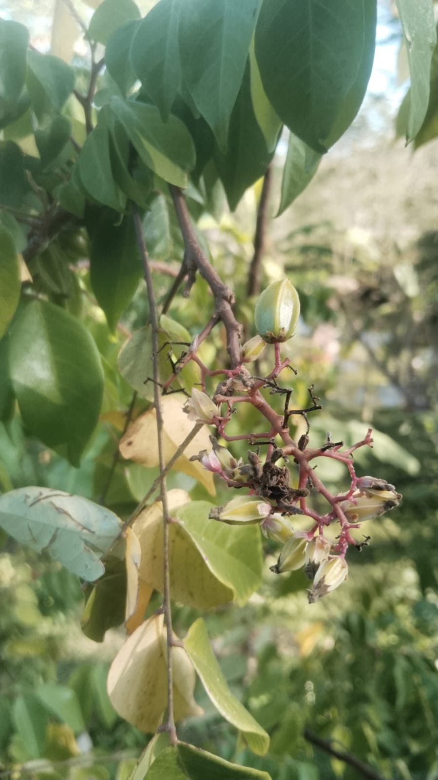 La Casa Plantada Awakens in March · 14
