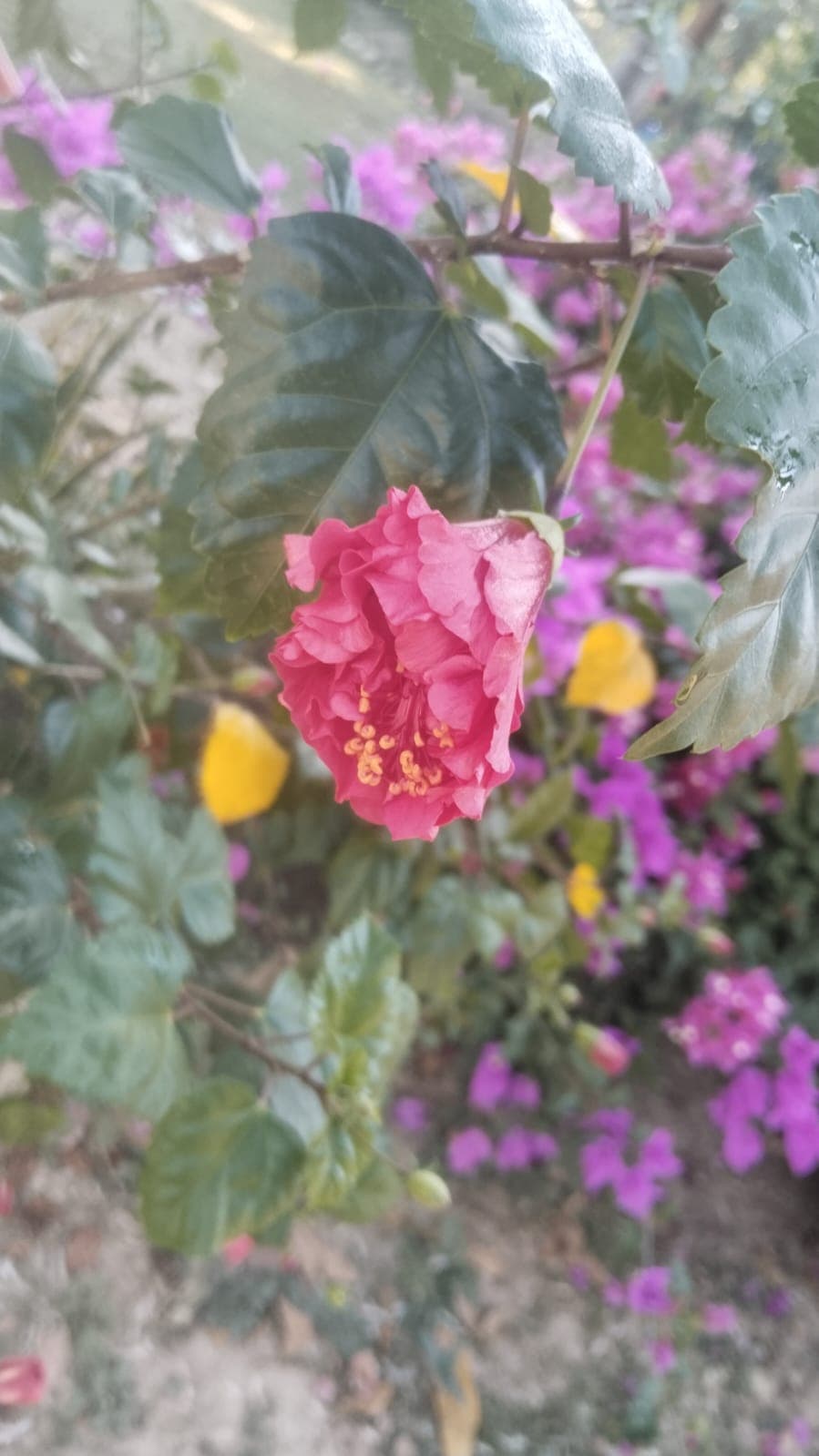 La Casa Plantada Awakens in March · 3