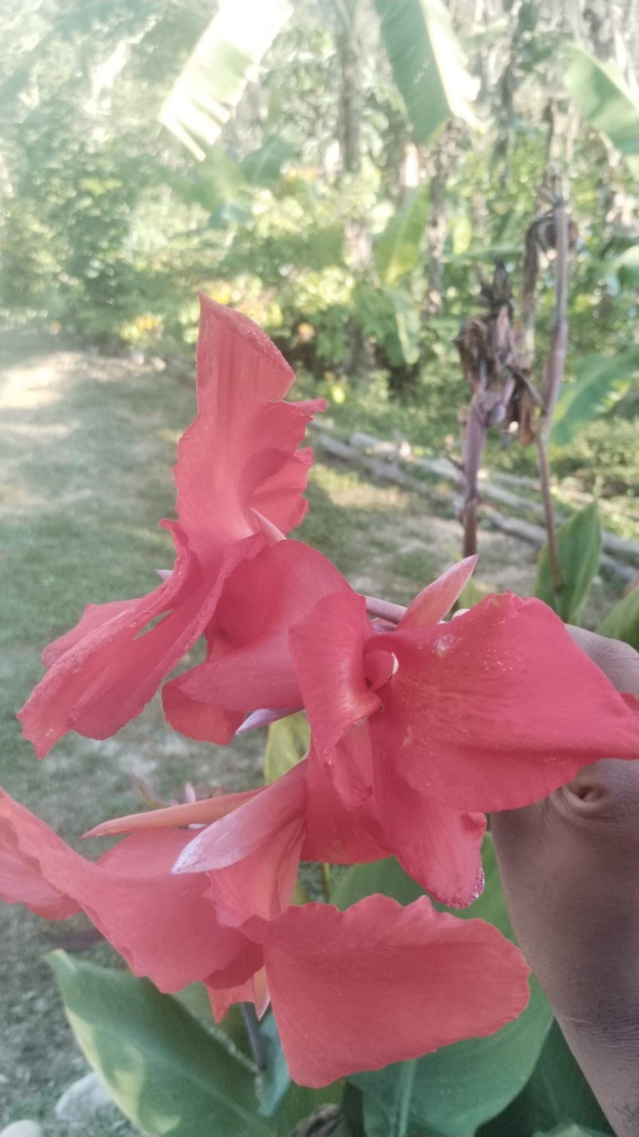 La Casa Plantada Awakens in March · 10