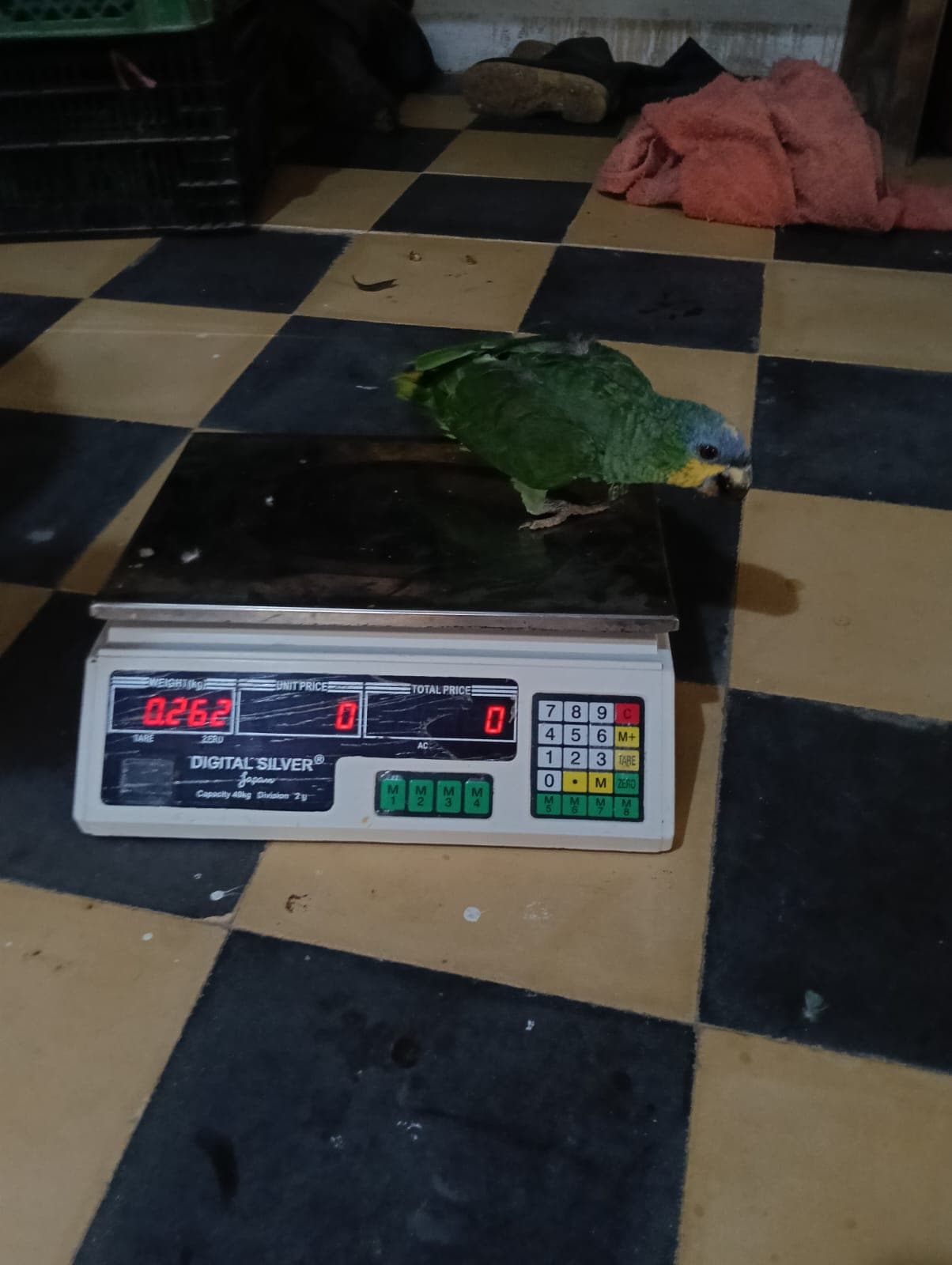 Le B12 est arrivé avec un œil fermé · 3