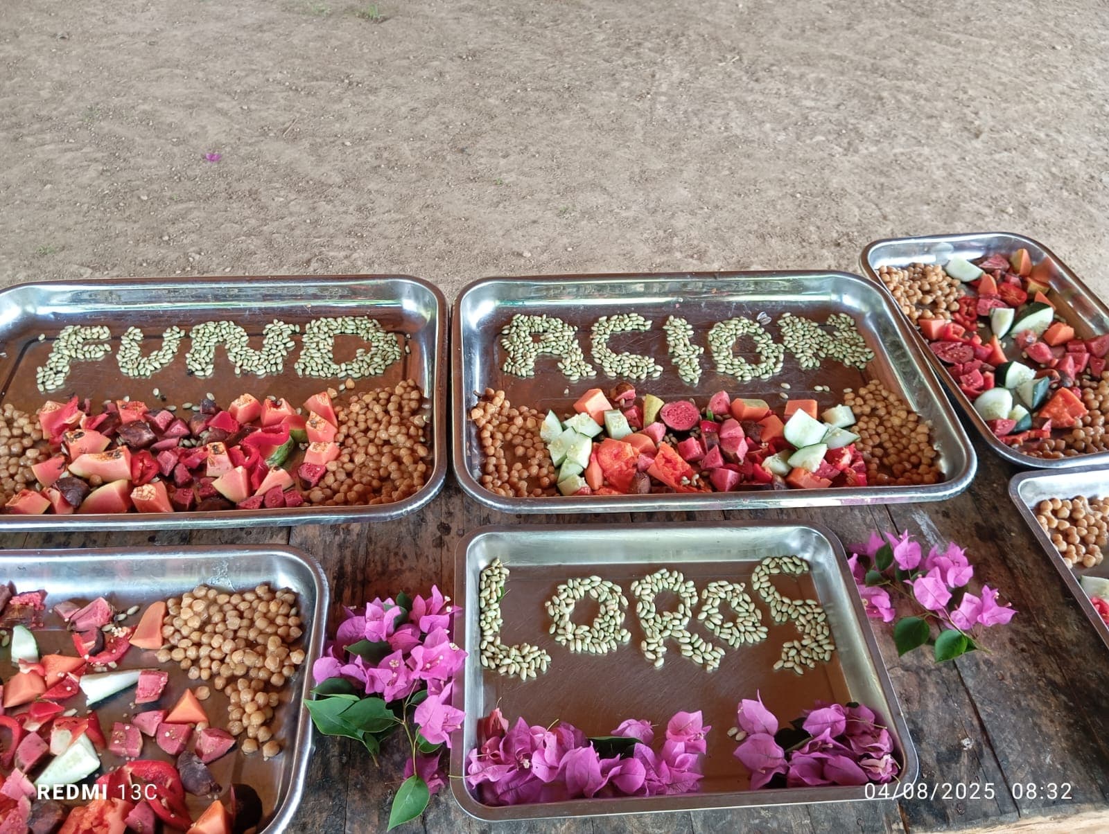 Fruits, fleurs et une nouvelle volière à la réserve · 2