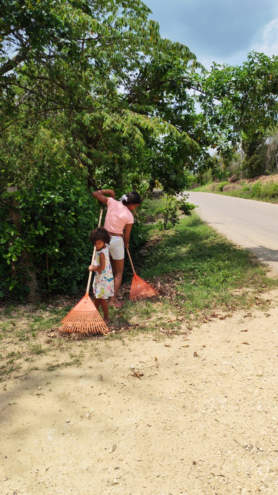 Sombra Leads the Way Through the Leaf Litter · 2