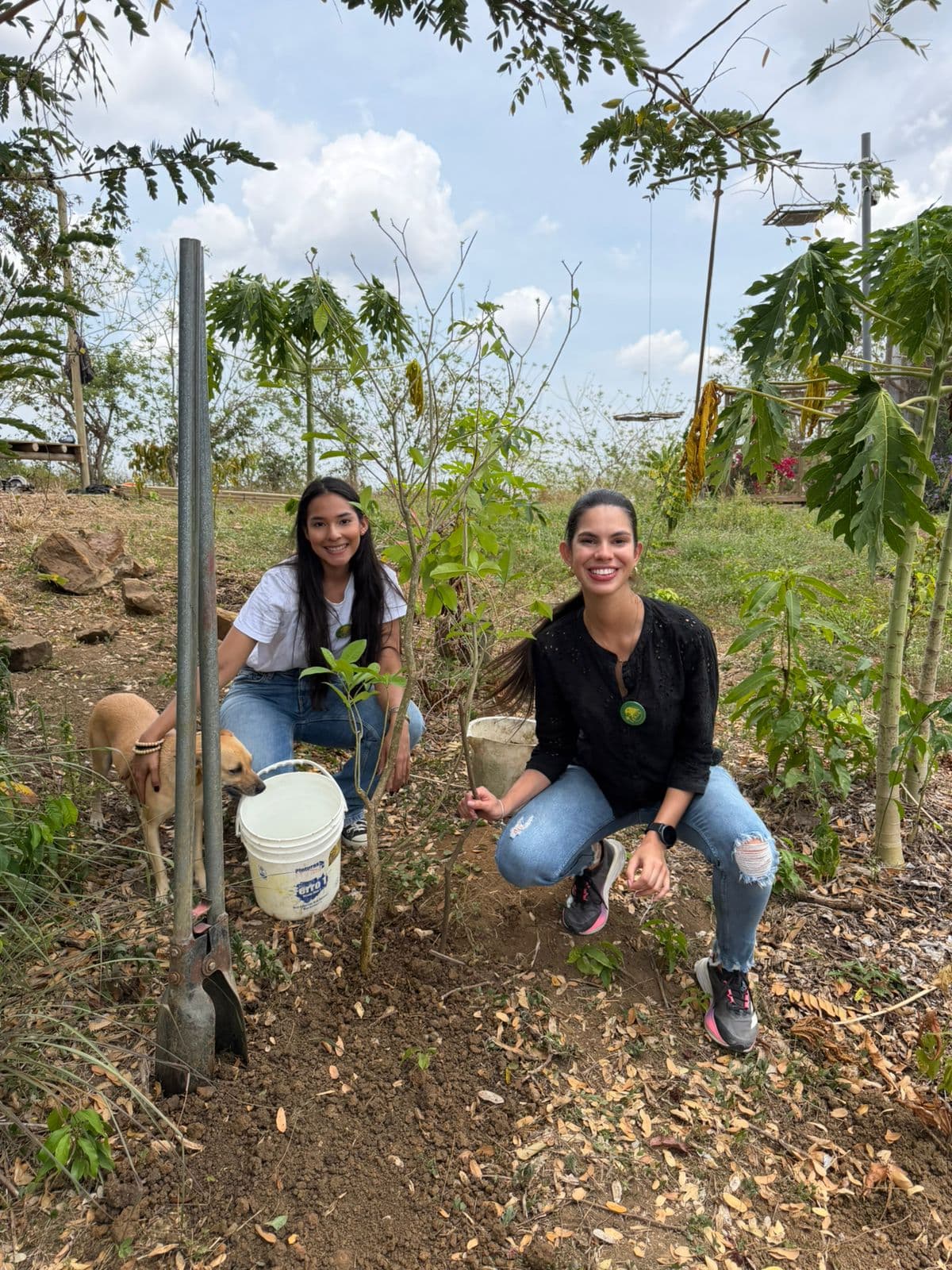 A Newborn Tití and a Tree for the Guacamayas · 4