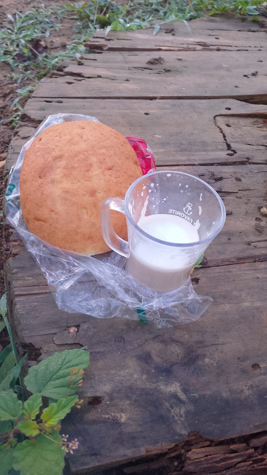 Capuchino de campo, direkt von der Kuh · 4