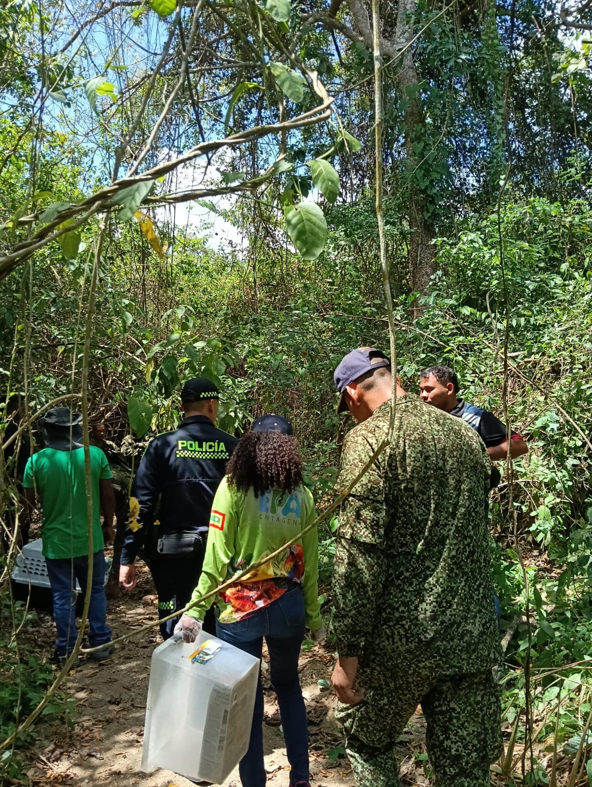 The Day the Forest welcomed its Tenants · 2