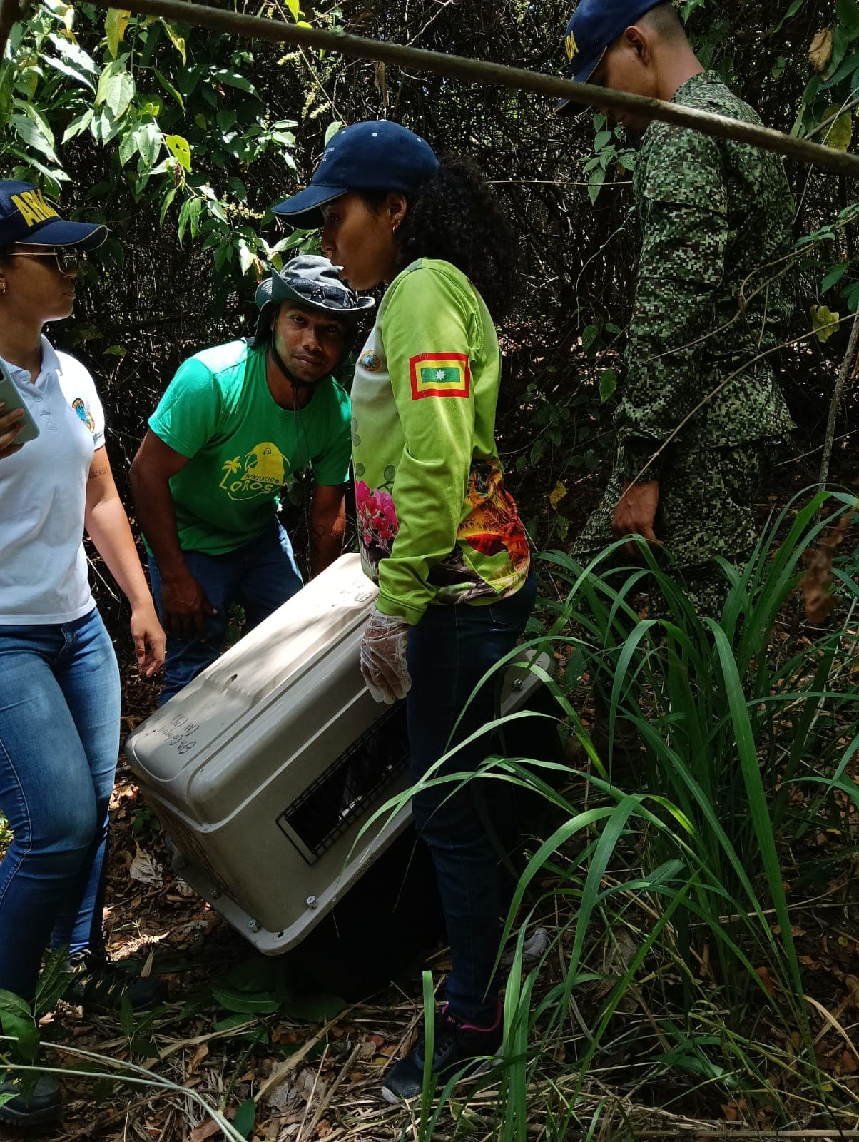 The Day the Forest welcomed its Tenants · 7