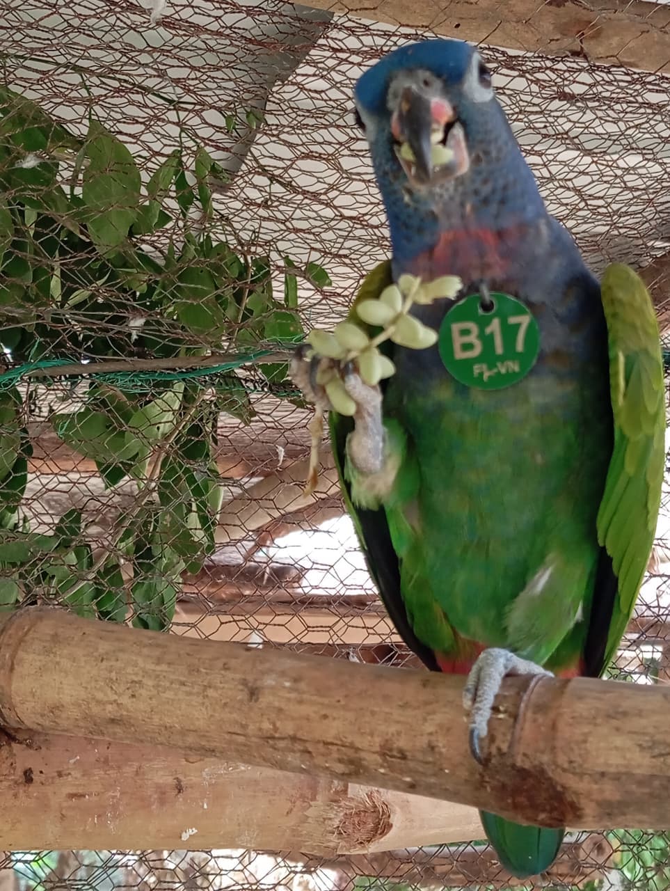 A Birthday Among Palms and Blue Feathers · 11