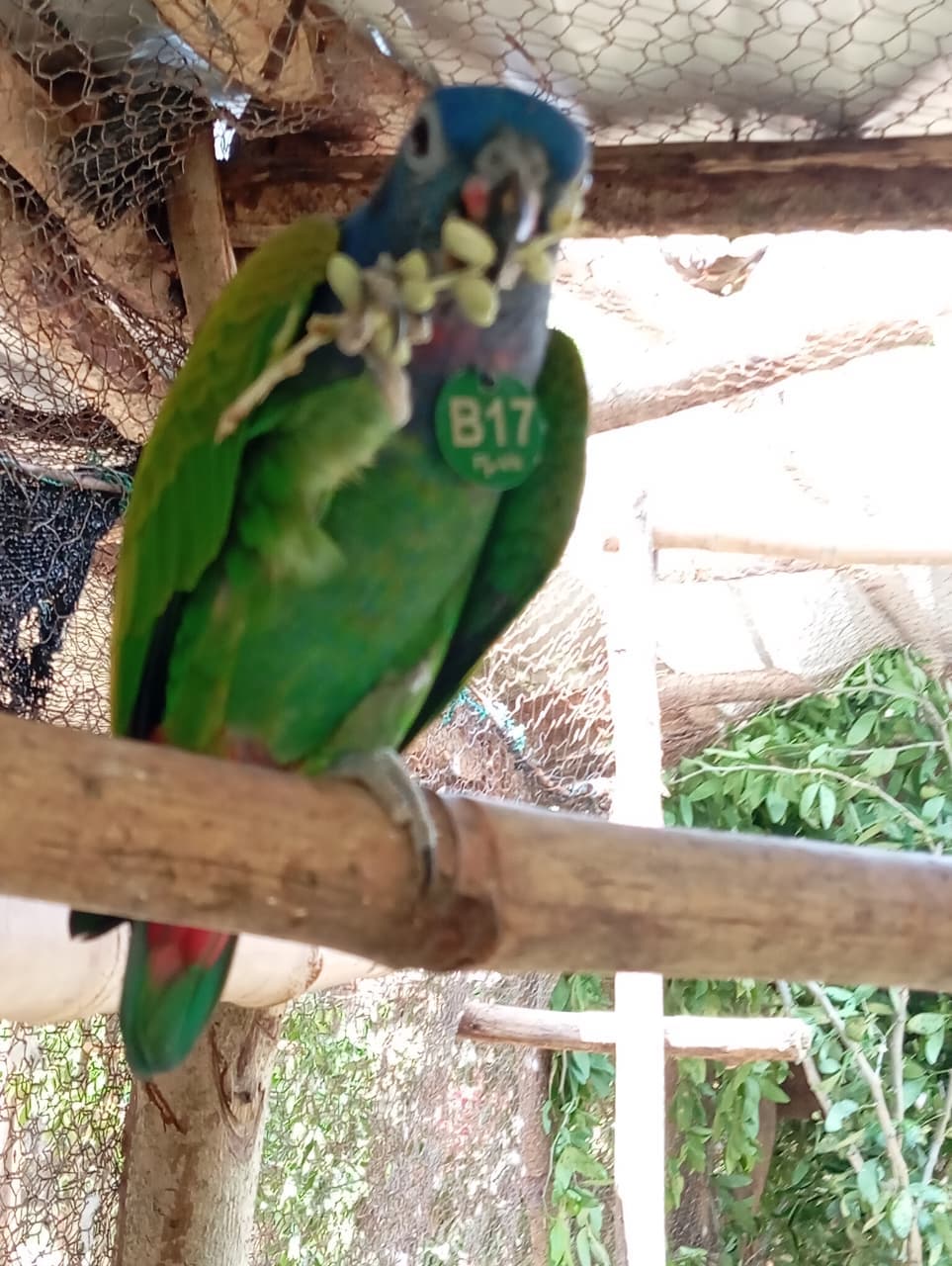A Birthday Among Palms and Blue Feathers · 14