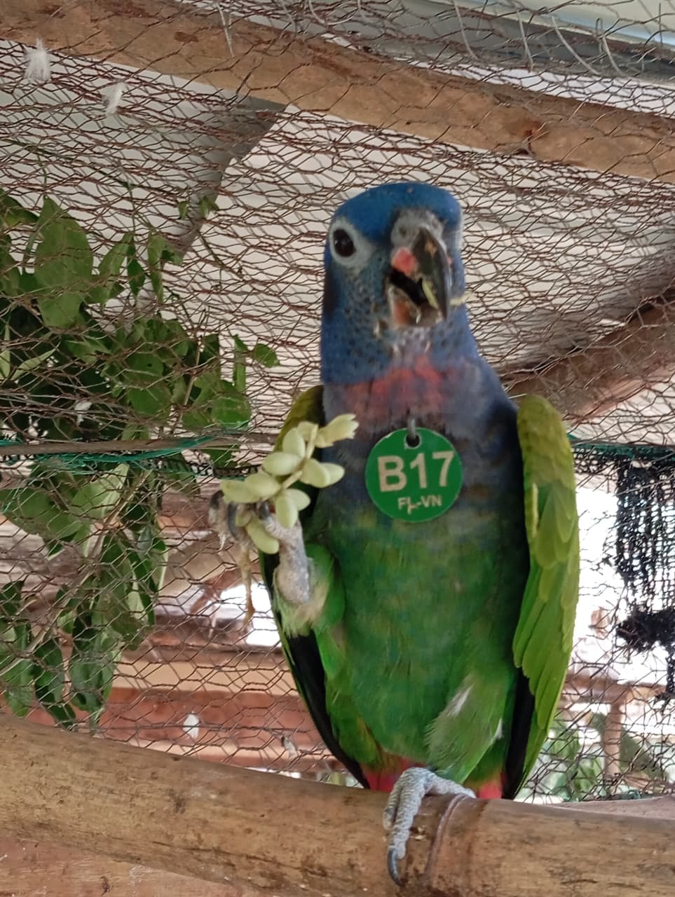 A Birthday Among Palms and Blue Feathers · 19