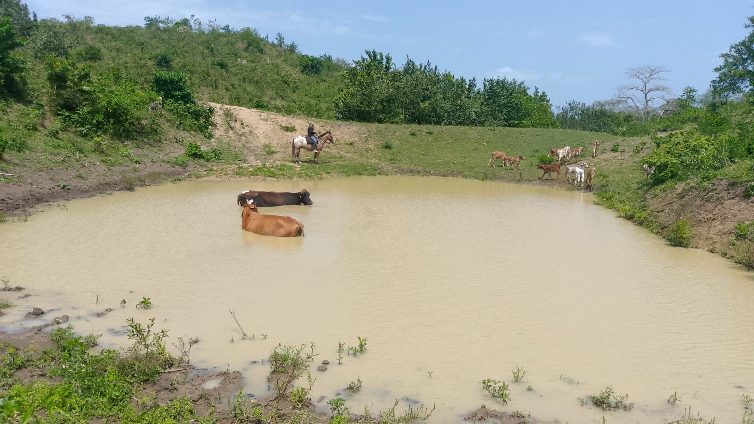 A Midday Plunge in Lago Valle Verde