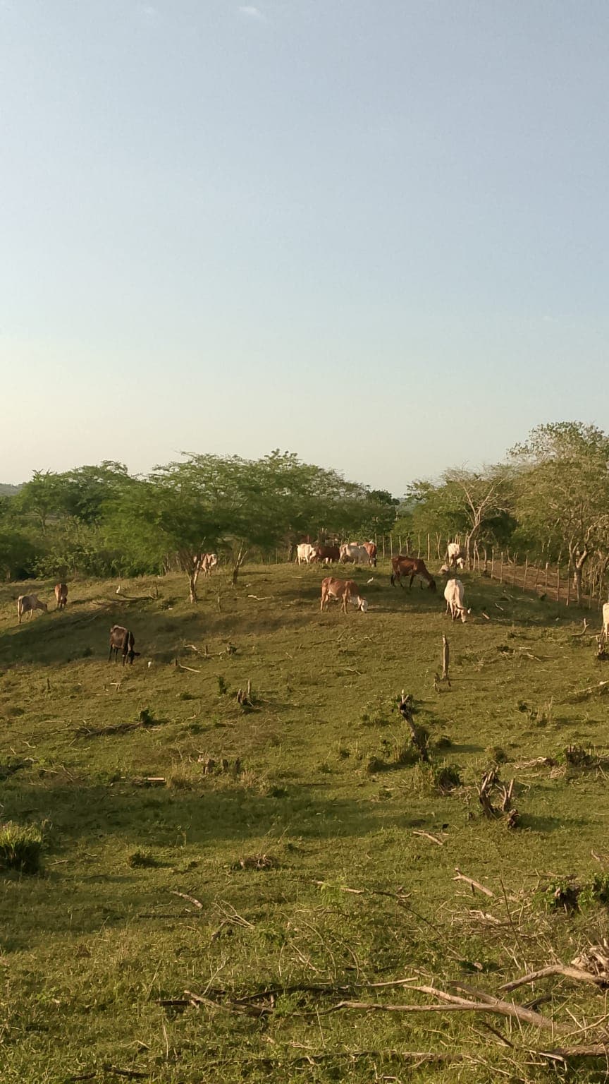 Zwei neue Leben in Valle Verde