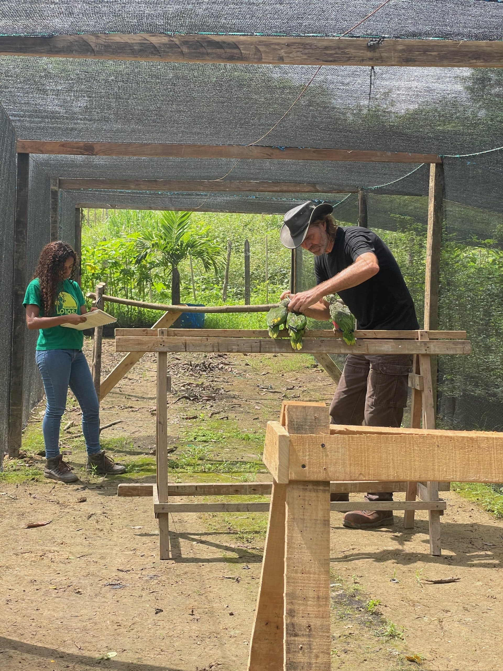 Construye un Hábitat de Reinicio Suave. Regala un Nuevo Comienzo. 🛠️🦜