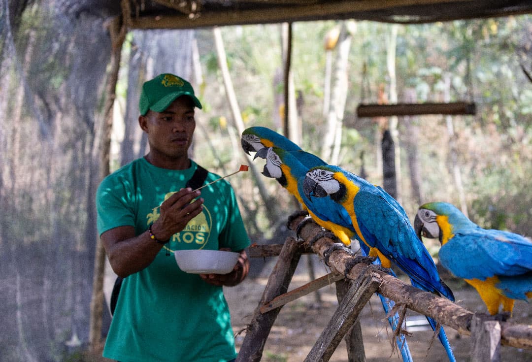Sana sus alas – Fondo de Apoyo Veterinario 🩺🦜