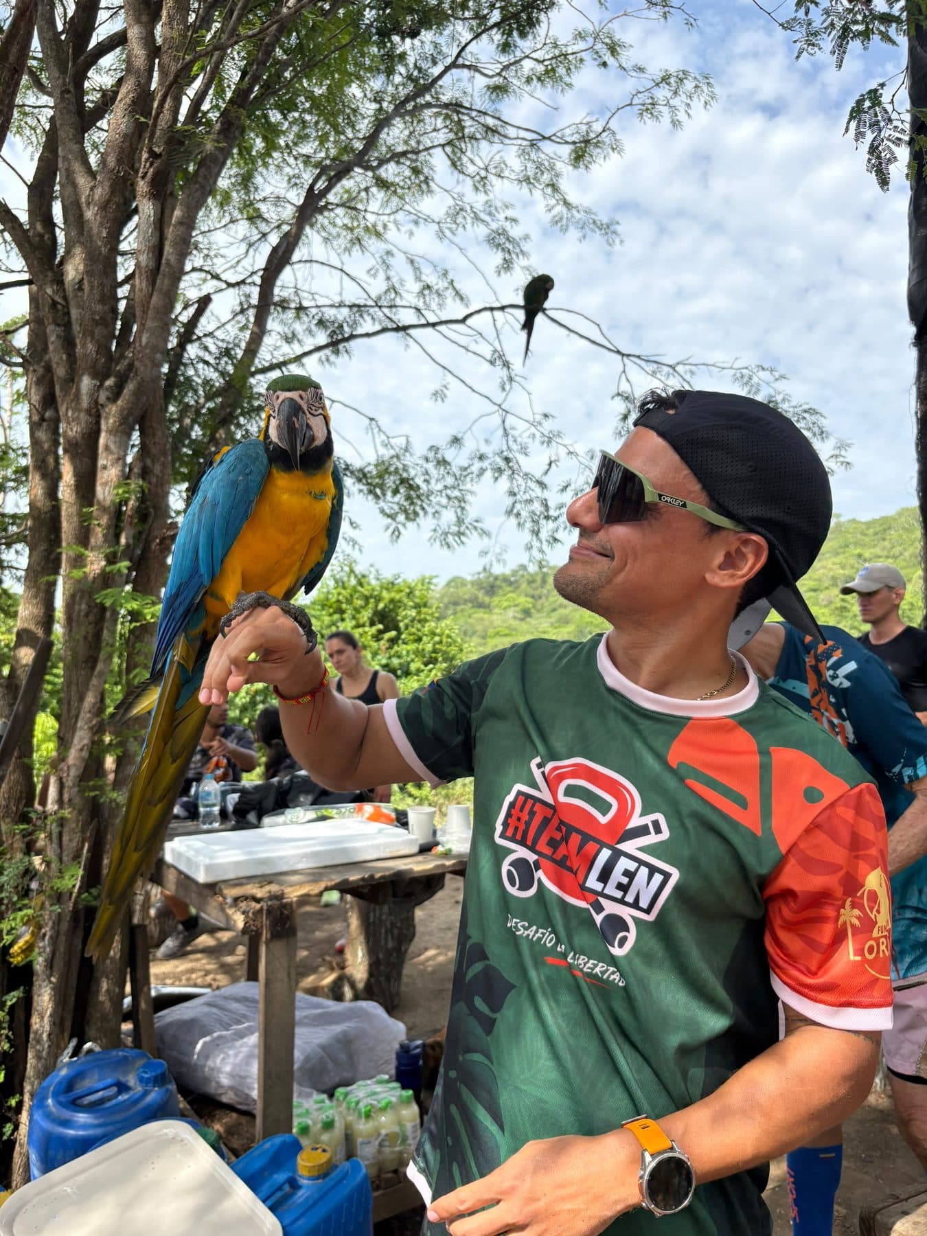 Guacamaya azul con un participante