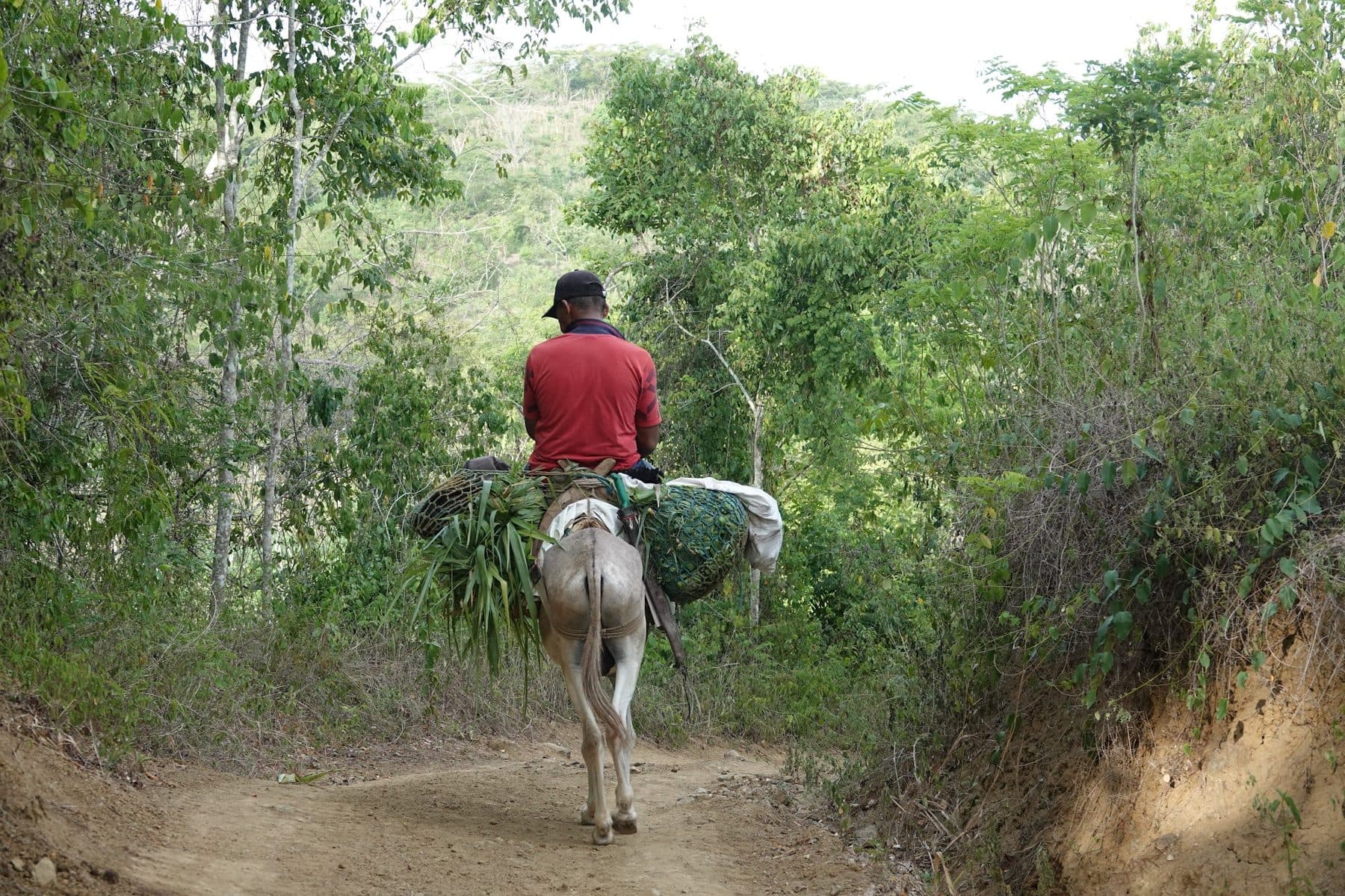 Vecino de Villanueva con su burro