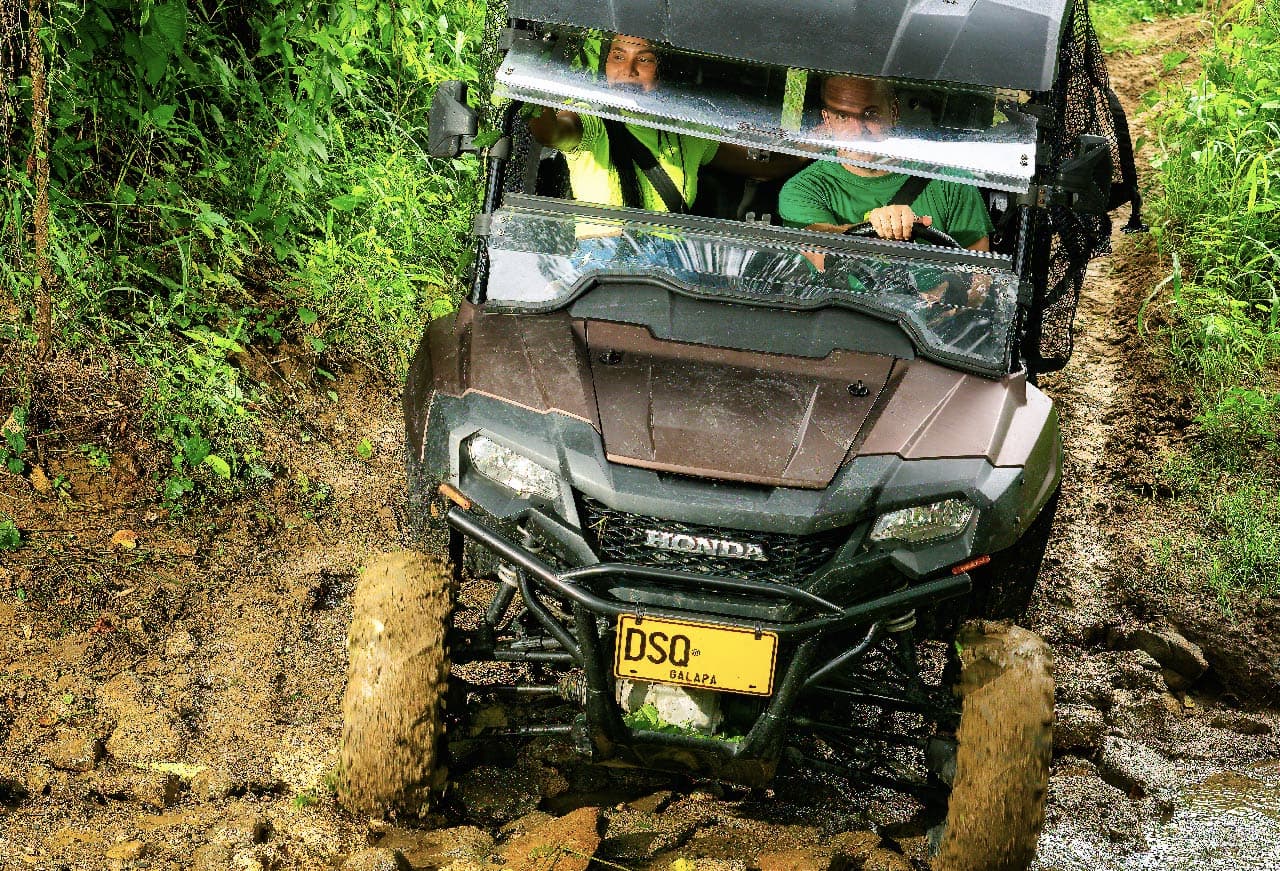 Safari en UTV: Explora la Vida Silvestre y las Montañas en una Reserva