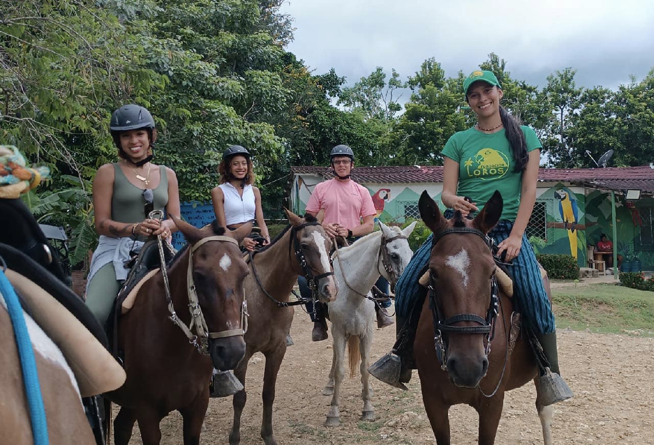 Paseo a caballo panorámico en una reserva montañosa tropical.
