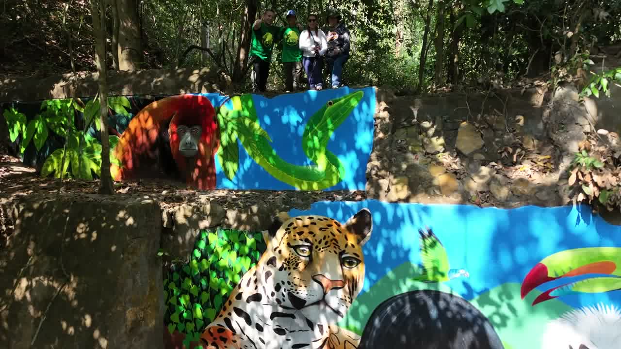 El sendero del arroyo en la reserva, terreno del Desafío La Libertad