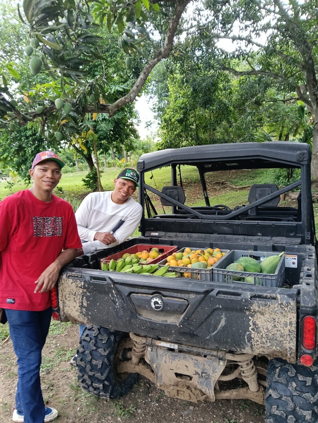 Rangers with fruit and food for the birds in rehabilitation.