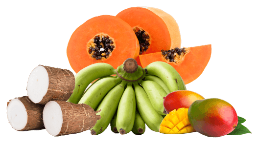 Frutas tropicales