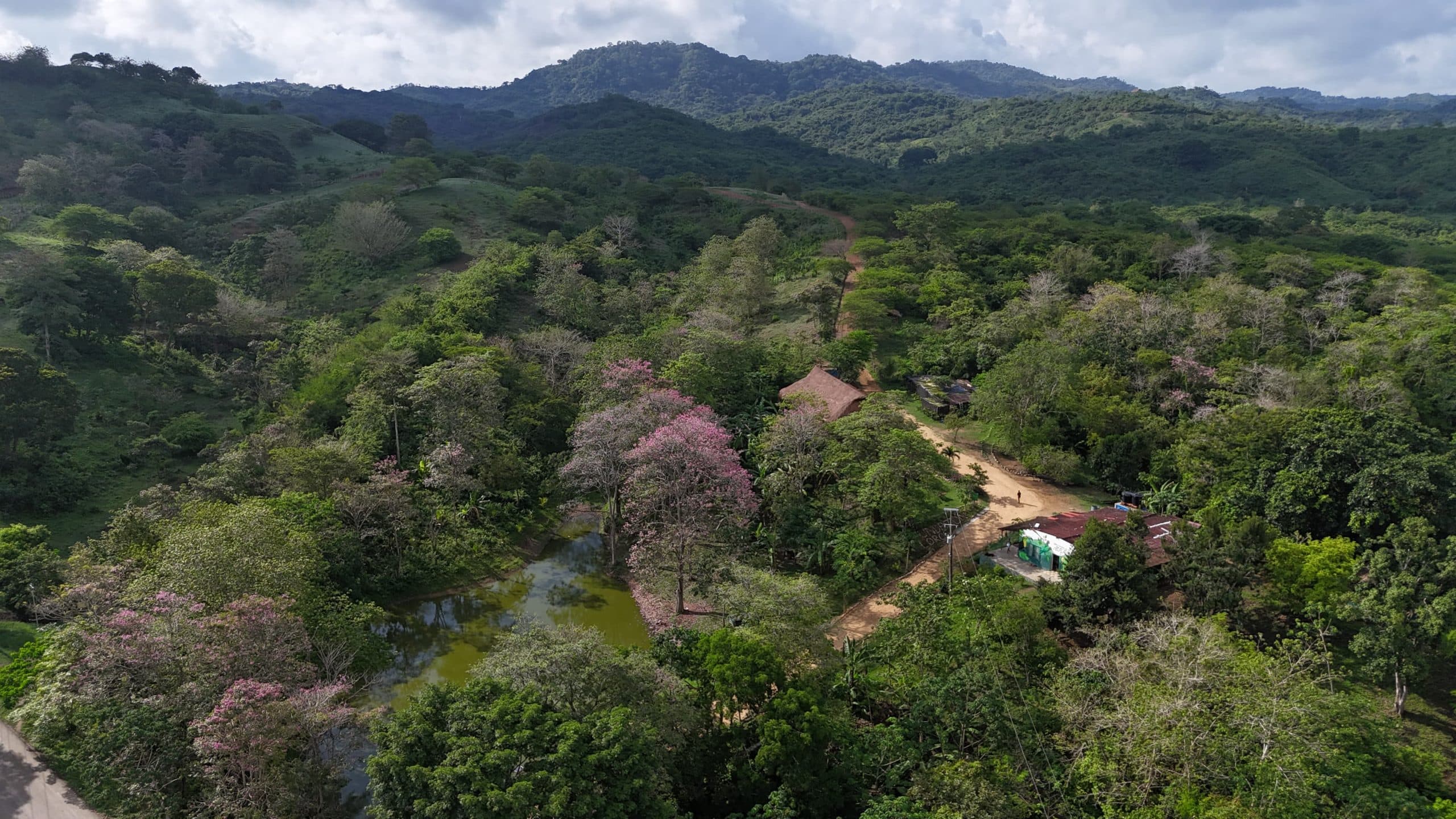 Los Mejores Lugares para Hacer Senderismo Cerca de Cartagena, Colombia: Bosques, Vida Silvestre y Cultura Local