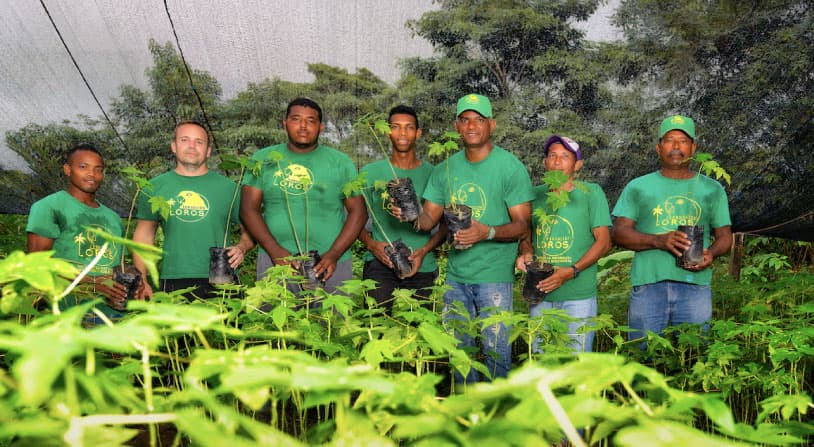 Vivero-forestal