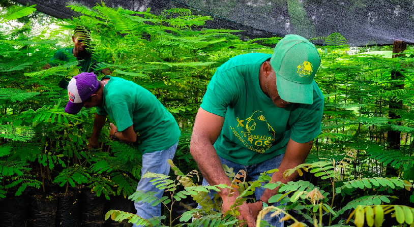 Fundacion_loros-04