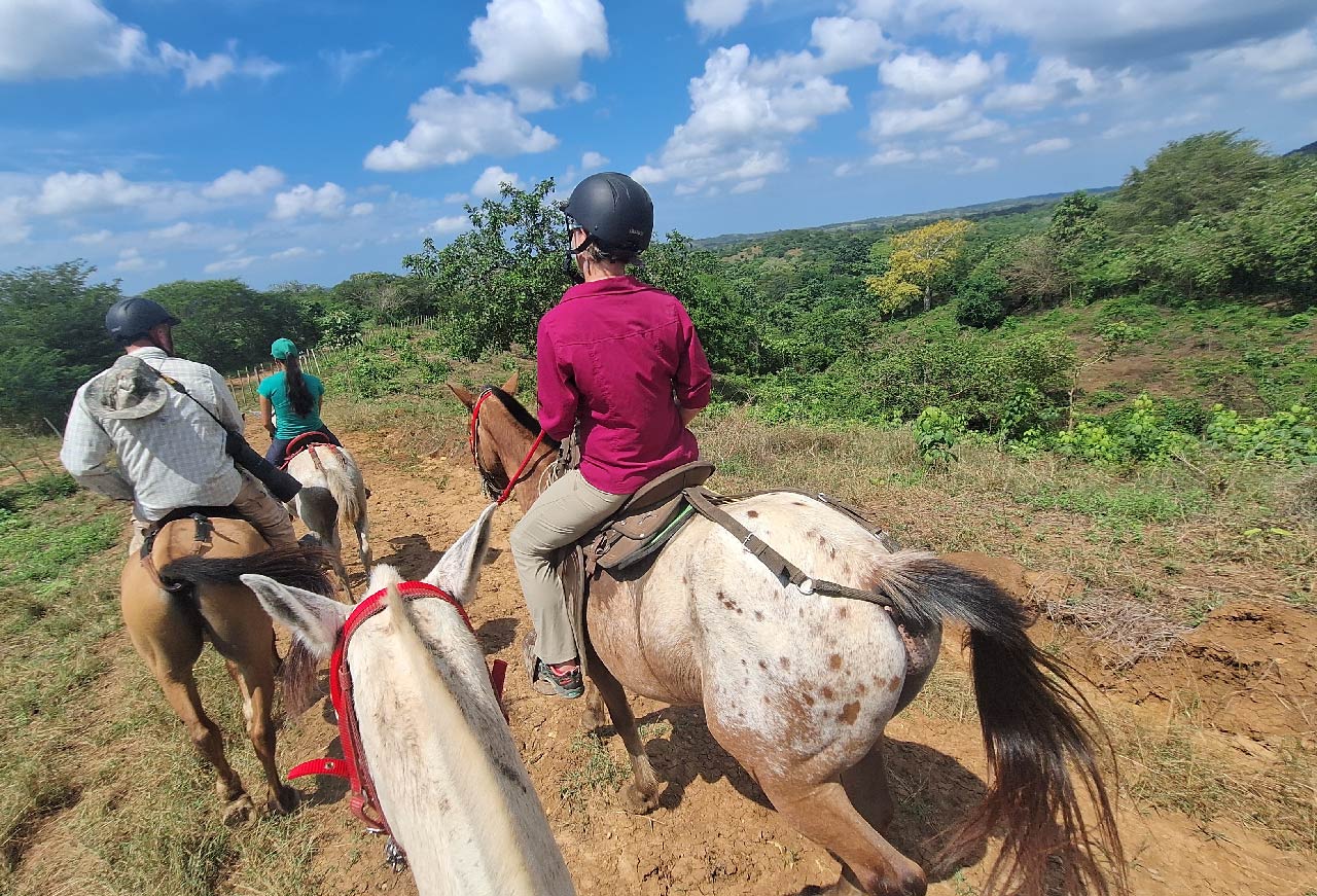 [:es]Nature_tours_horseback_riding_cartagena_Mesa de trabajo 1 copia 71[:]