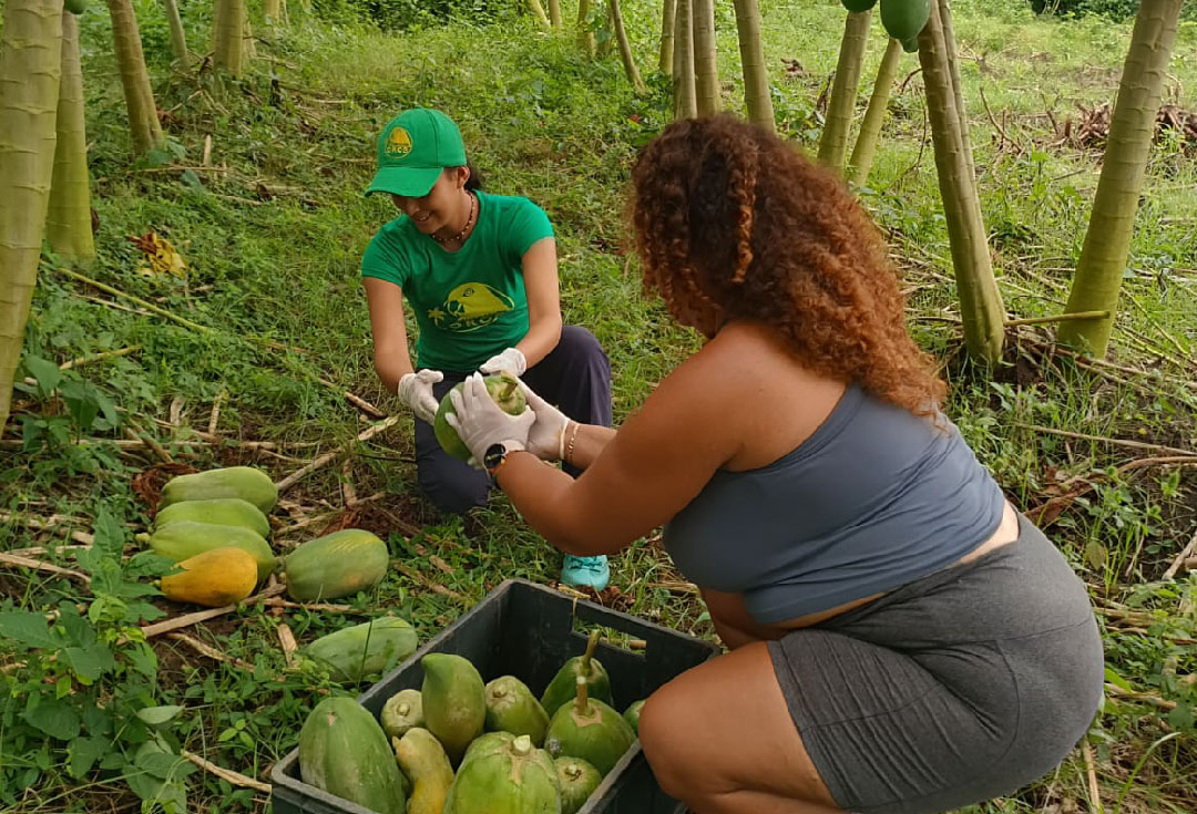 [:es]ATV_atv_cartagena_in_indias_nature_colombia_Mesa de trabajo 1 copia 6[:]